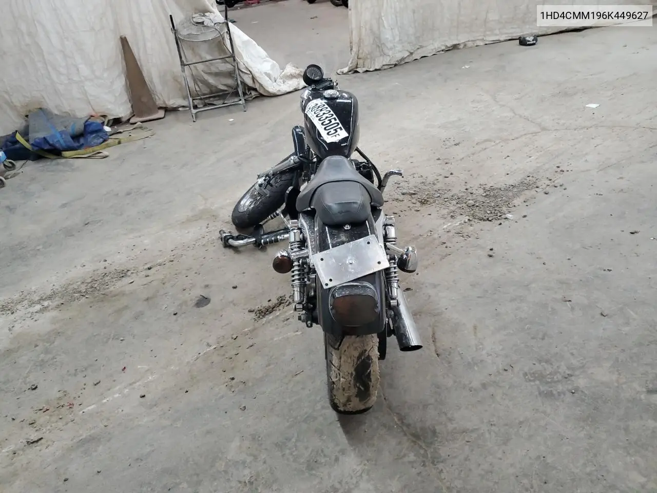 2006 Harley-Davidson Xl883 L VIN: 1HD4CMM196K449627 Lot: 58833505