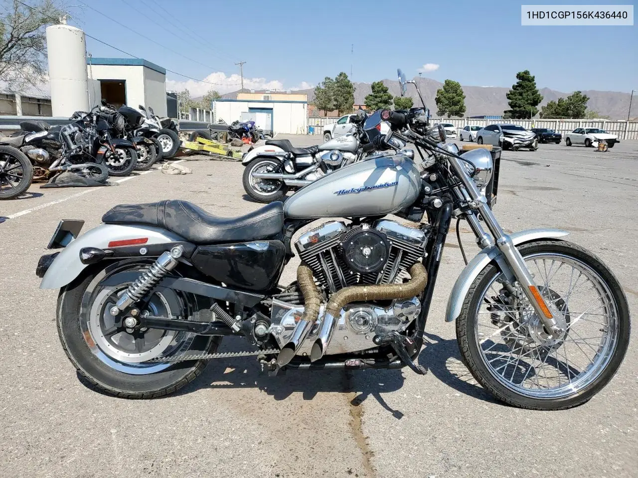 2006 Harley-Davidson Xl1200 C VIN: 1HD1CGP156K436440 Lot: 58859845