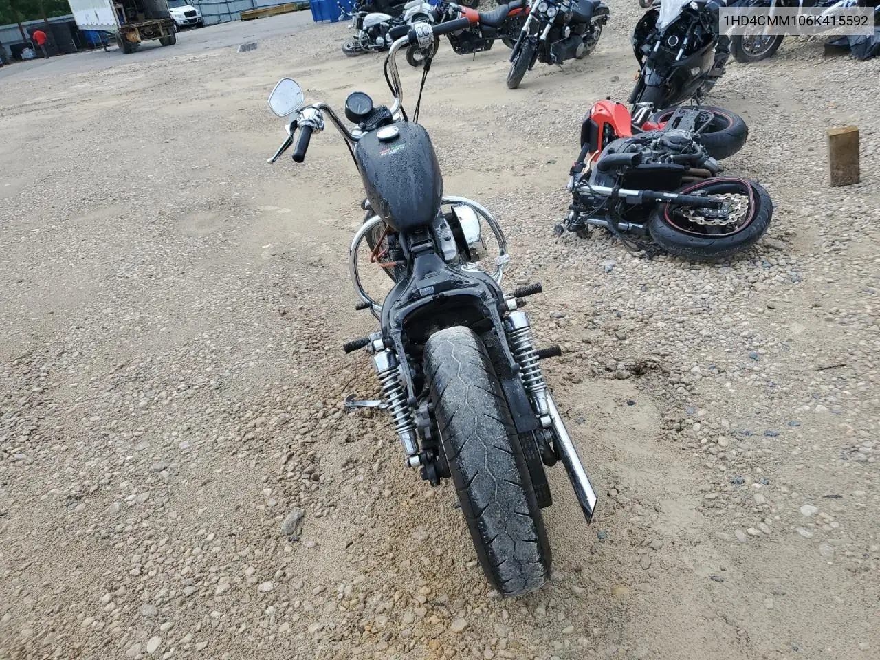 2006 Harley-Davidson Xl883 L VIN: 1HD4CMM106K415592 Lot: 60629545