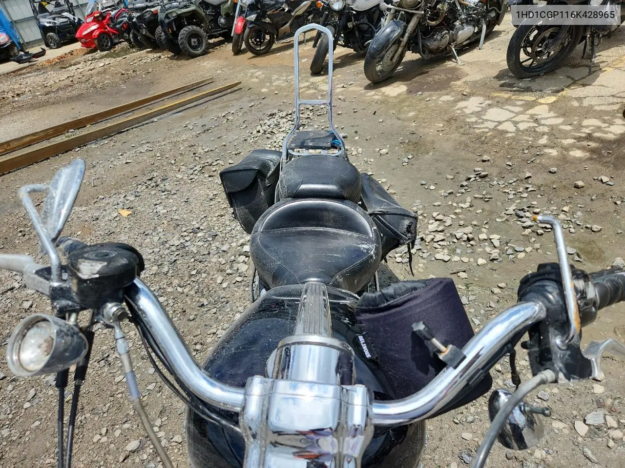 2006 Harley-Davidson Xl1200 C VIN: 1HD1CGP116K428965 Lot: 63275785