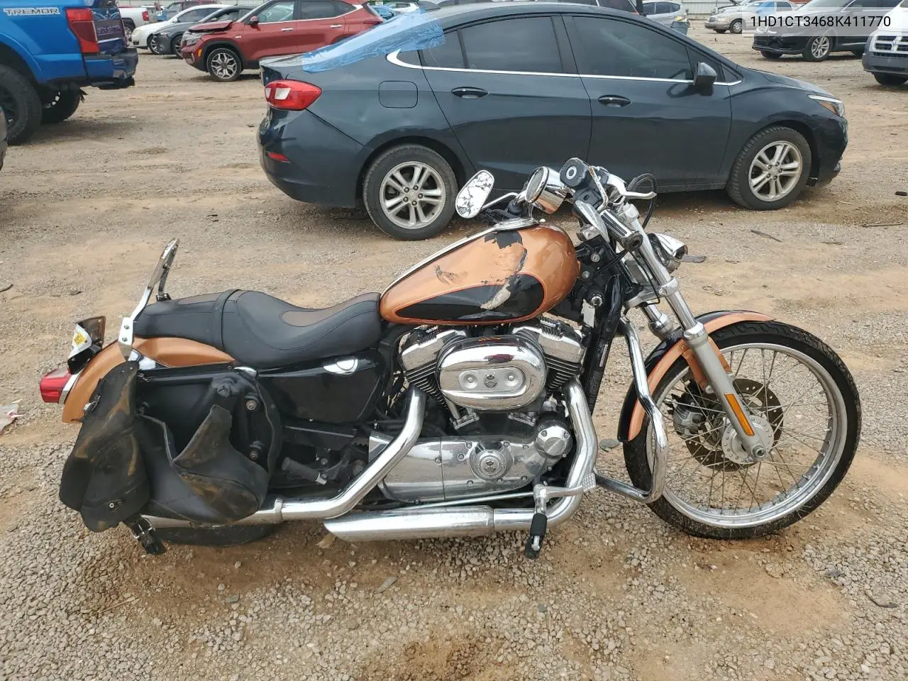 2008 Harley-Davidson Xl1200 C Anniversary VIN: 1HD1CT3468K411770 Lot: 54049374