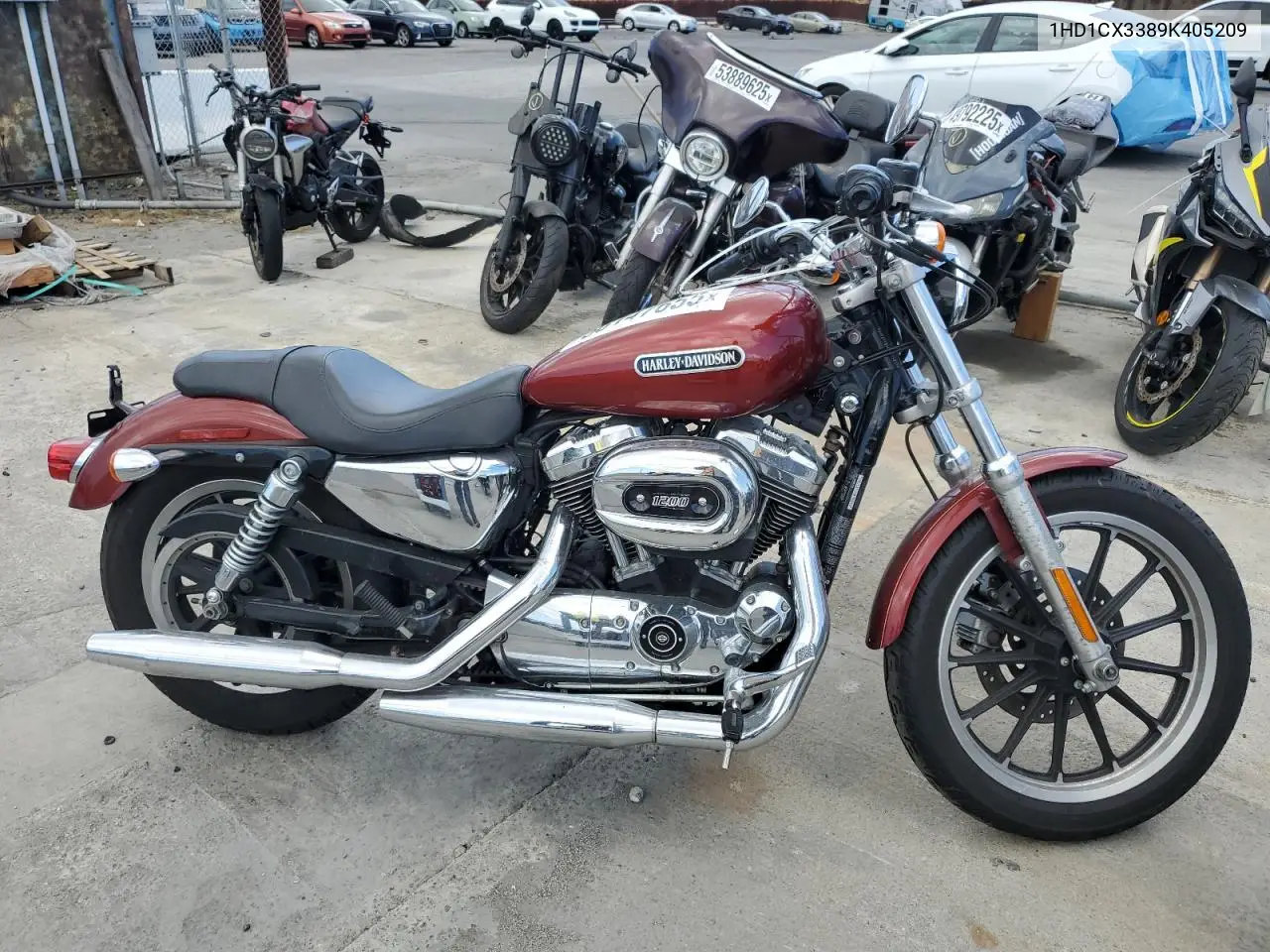 2009 Harley-Davidson Xl1200 L VIN: 1HD1CX3389K405209 Lot: 56147655