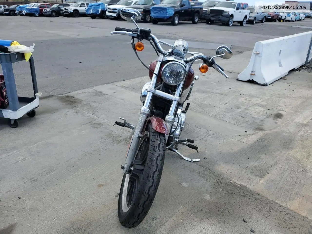 2009 Harley-Davidson Xl1200 L VIN: 1HD1CX3389K405209 Lot: 56147655
