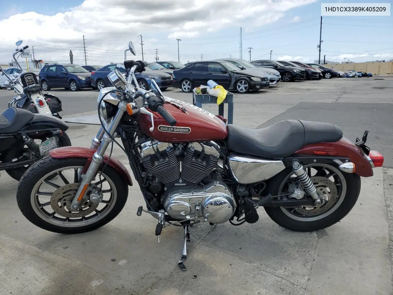 2009 Harley-Davidson Xl1200 L VIN: 1HD1CX3389K405209 Lot: 56147655