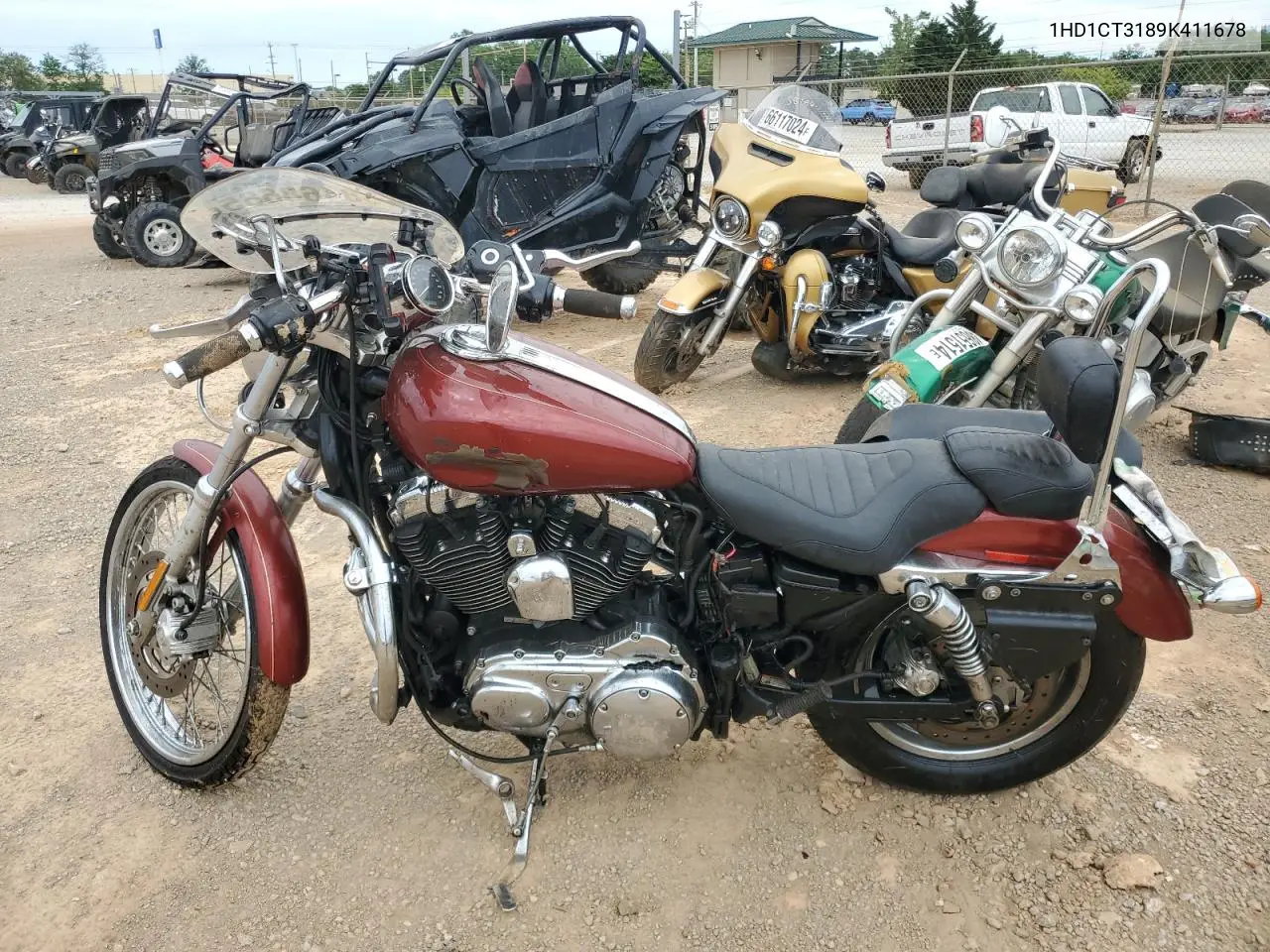 2009 Harley-Davidson Xl1200 C VIN: 1HD1CT3189K411678 Lot: 58468685