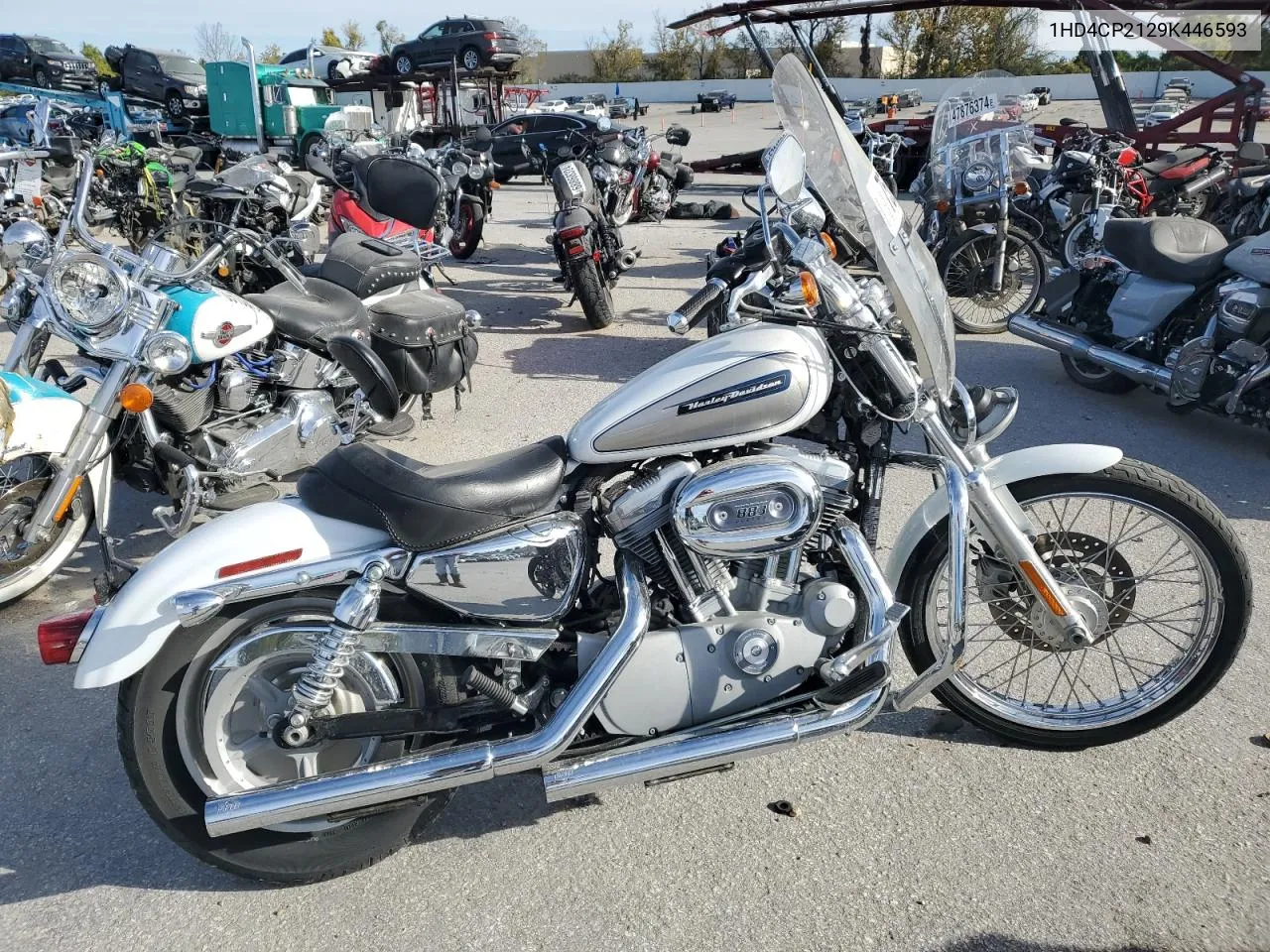 2009 Harley-Davidson Xl883 C VIN: 1HD4CP2129K446593 Lot: 75864944