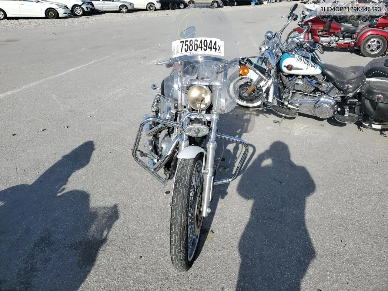 2009 Harley-Davidson Xl883 C VIN: 1HD4CP2129K446593 Lot: 75864944