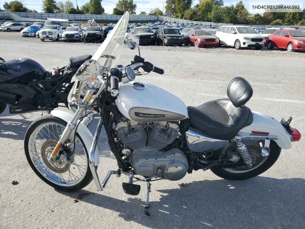 2009 Harley-Davidson Xl883 C VIN: 1HD4CP2129K446593 Lot: 75864944