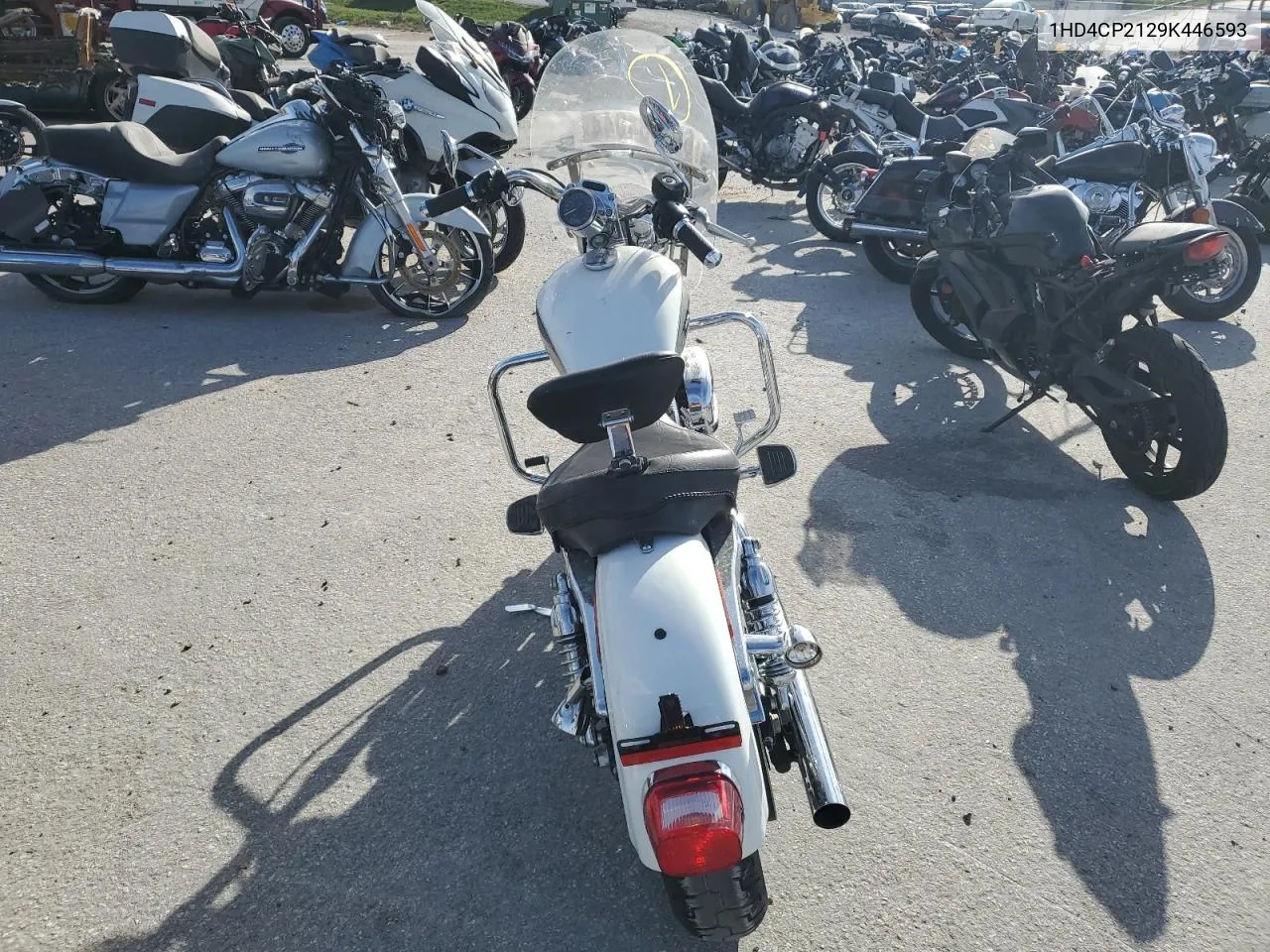 2009 Harley-Davidson Xl883 C VIN: 1HD4CP2129K446593 Lot: 75864944