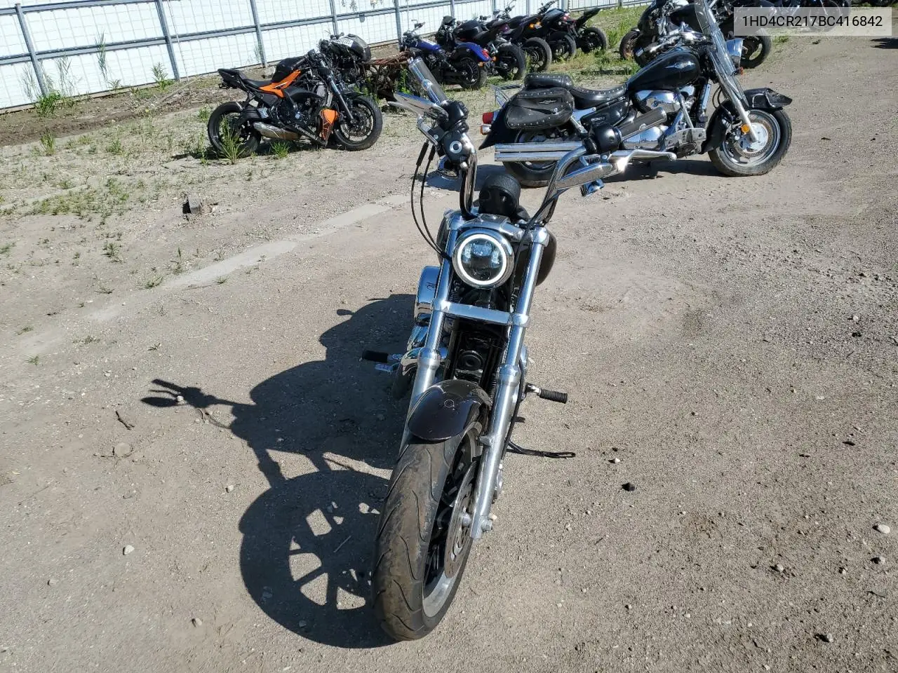 2011 Harley-Davidson Xl883 L VIN: 1HD4CR217BC416842 Lot: 61043005
