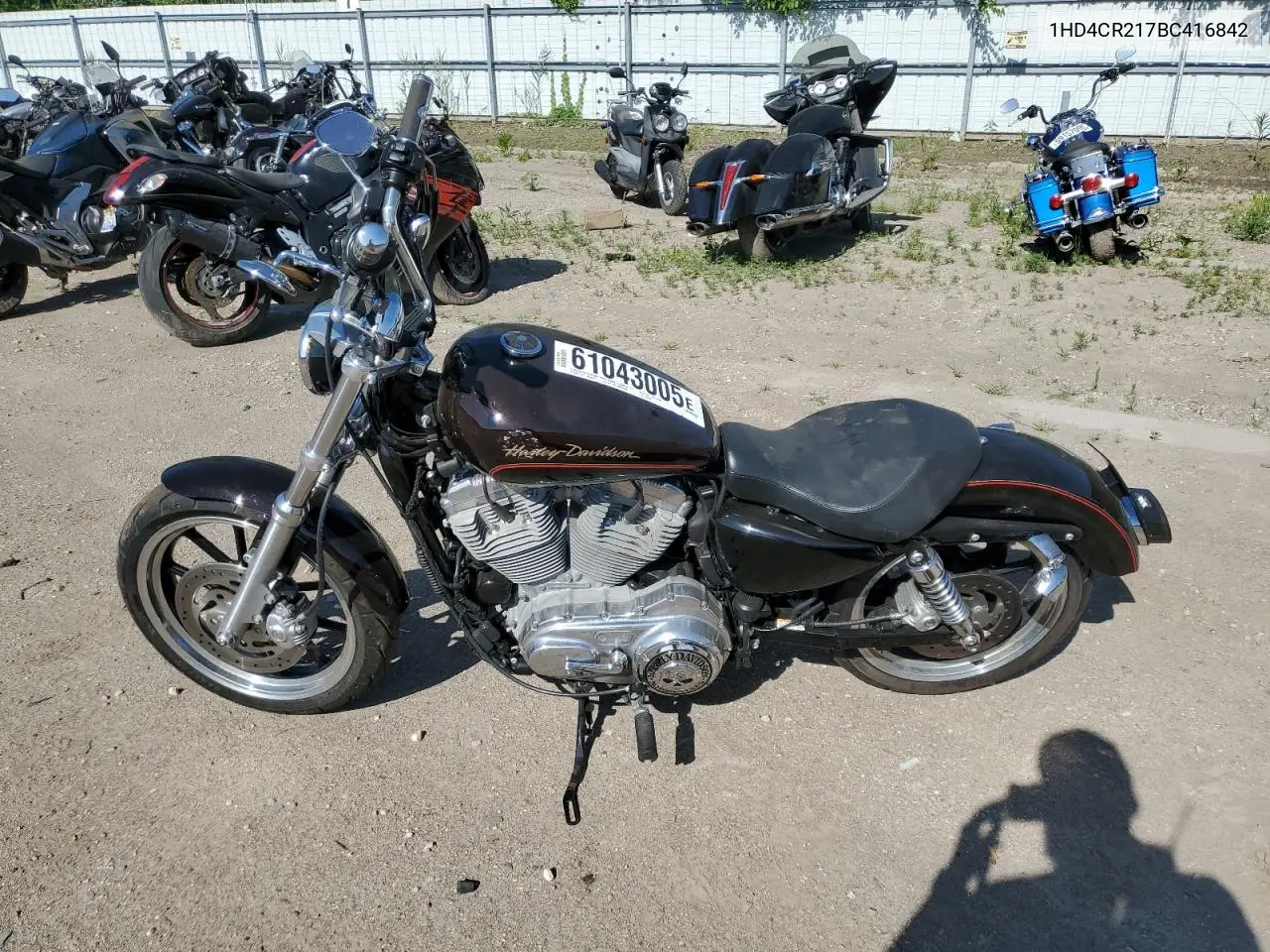 2011 Harley-Davidson Xl883 L VIN: 1HD4CR217BC416842 Lot: 61043005