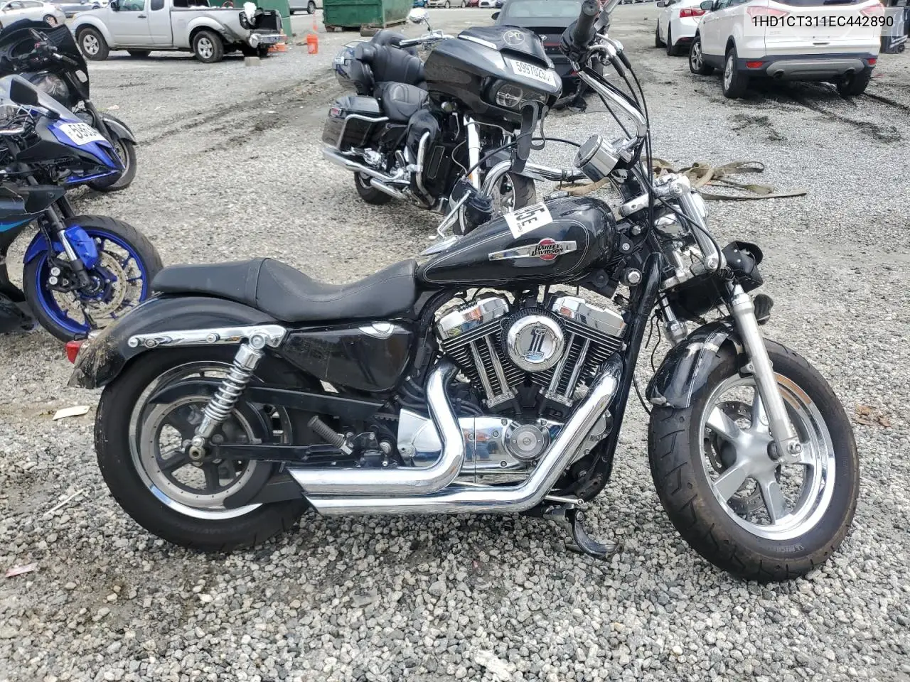 2014 Harley-Davidson Xl1200 C VIN: 1HD1CT311EC442890 Lot: 59686195