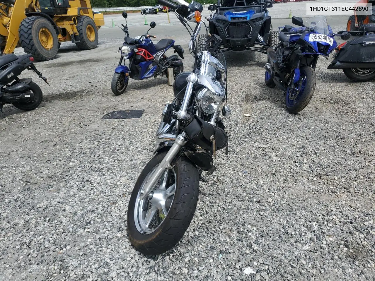 2014 Harley-Davidson Xl1200 C VIN: 1HD1CT311EC442890 Lot: 59686195