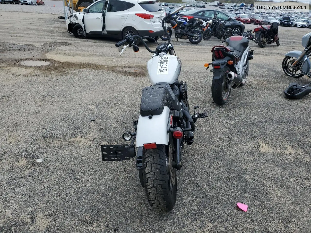 2021 Harley-Davidson Fxbbs VIN: 1HD1YYK10MB036264 Lot: 55252945