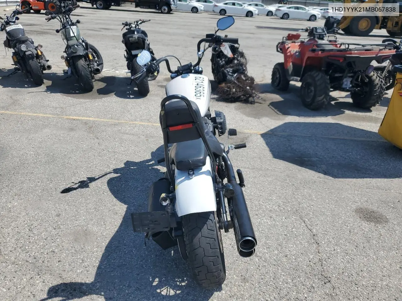 2021 Harley-Davidson Fxbbs VIN: 1HD1YYK21MB067838 Lot: 62146365