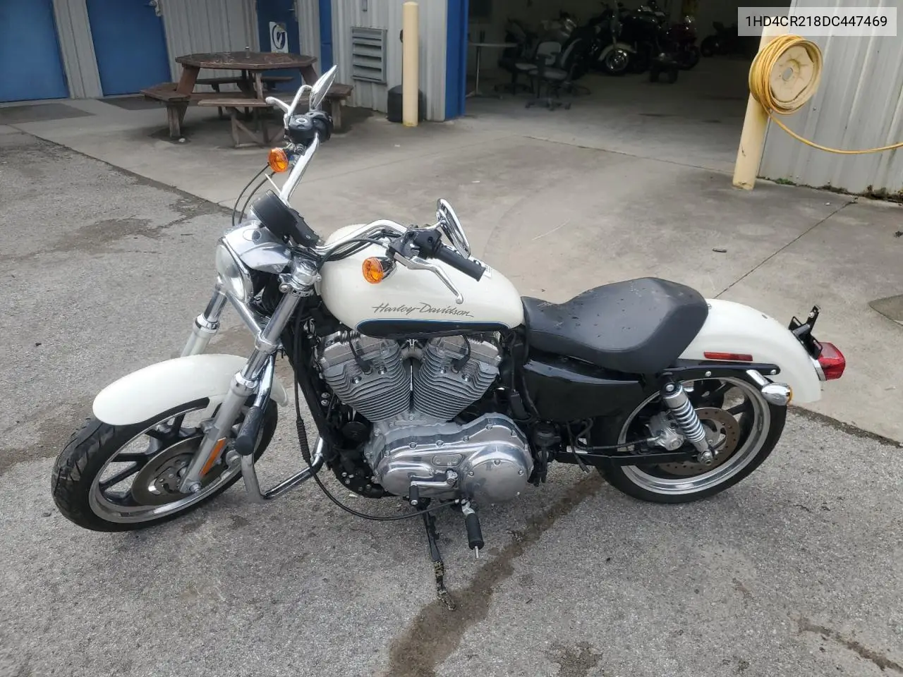 2013 Harley-Davidson Xl883 Superlow VIN: 1HD4CR218DC447469 Lot: 61593375