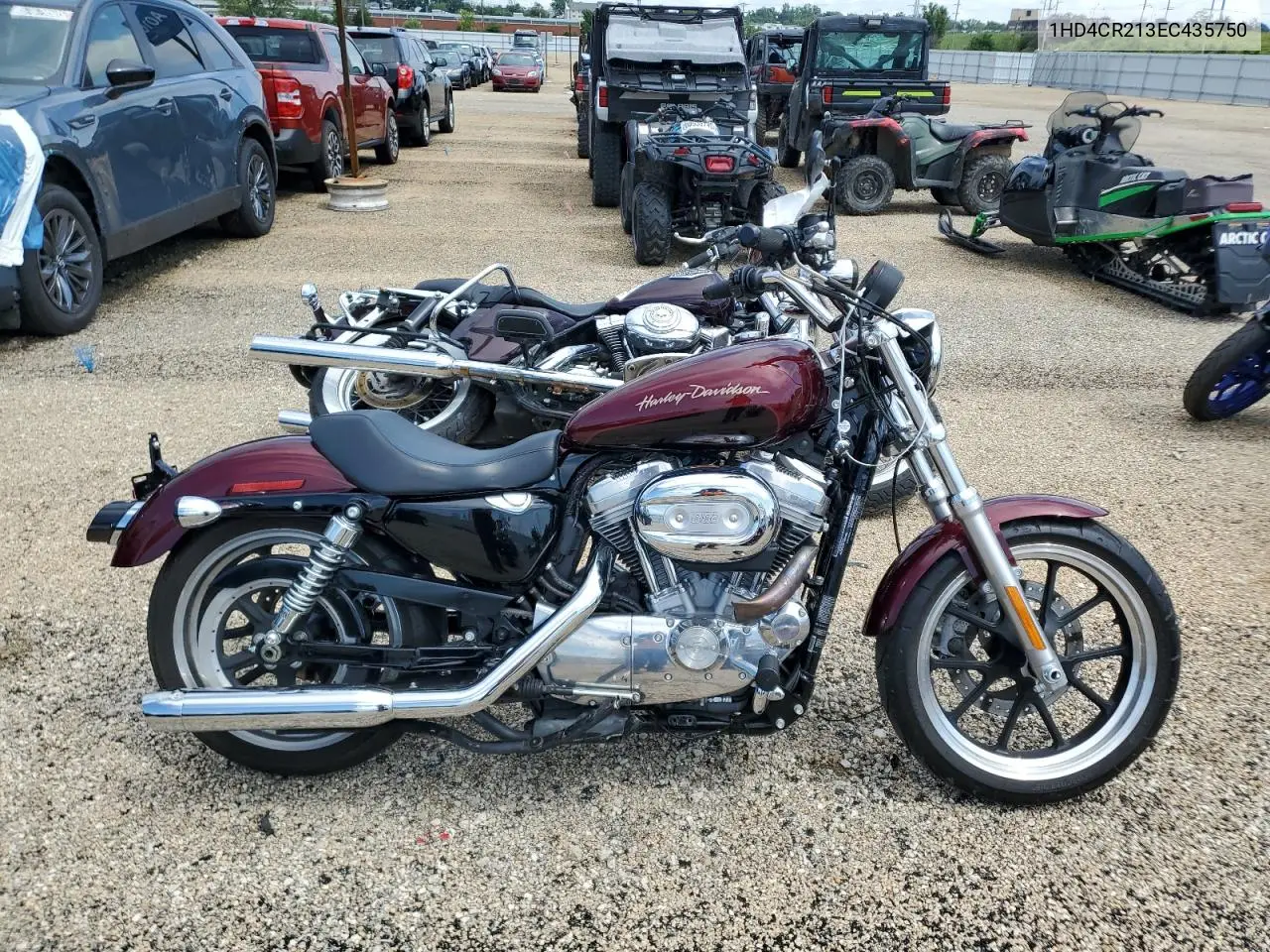 2014 Harley-Davidson Xl883 Superlow VIN: 1HD4CR213EC435750 Lot: 62483895