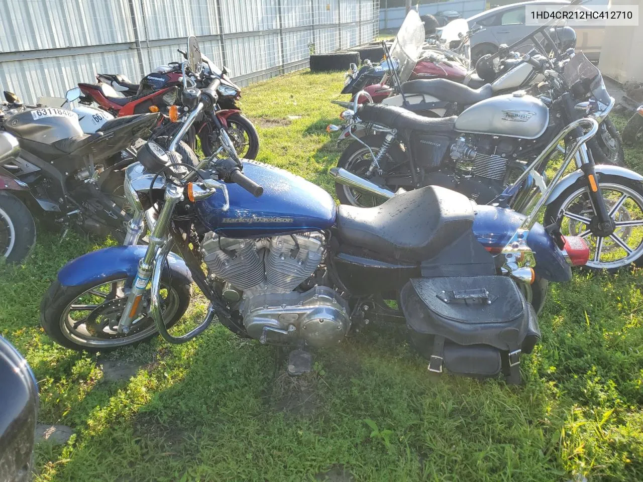 2017 Harley-Davidson Xl883 Superlow VIN: 1HD4CR212HC412710 Lot: 67785804