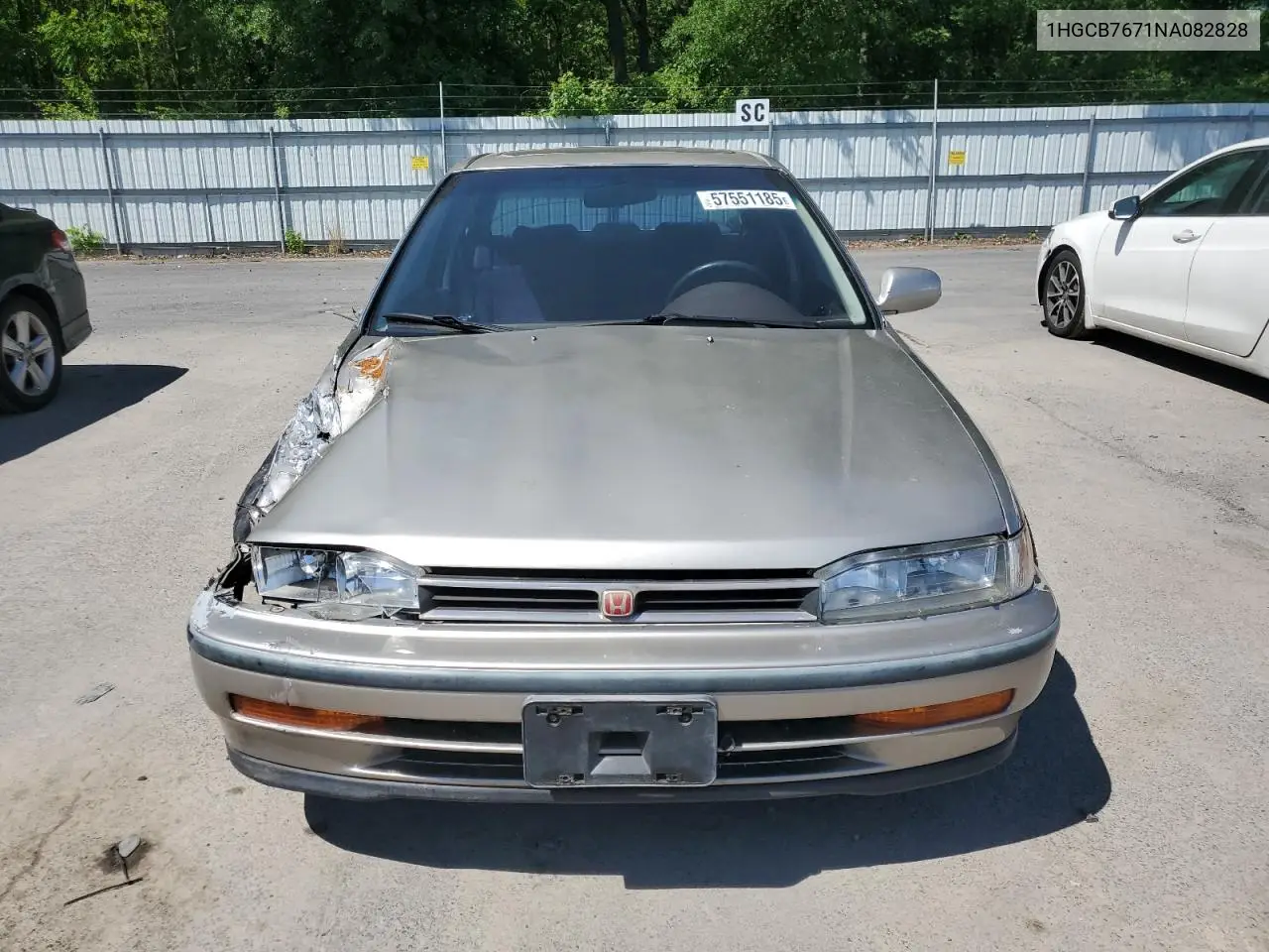 1992 Honda Accord Ex VIN: 1HGCB7671NA082828 Lot: 57551185