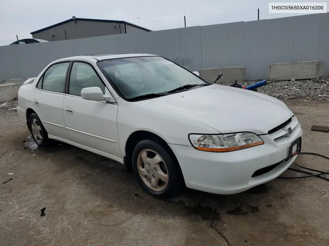 1999 Honda Accord Ex VIN: 1HGCG5650XA016200 Lot: 62574915