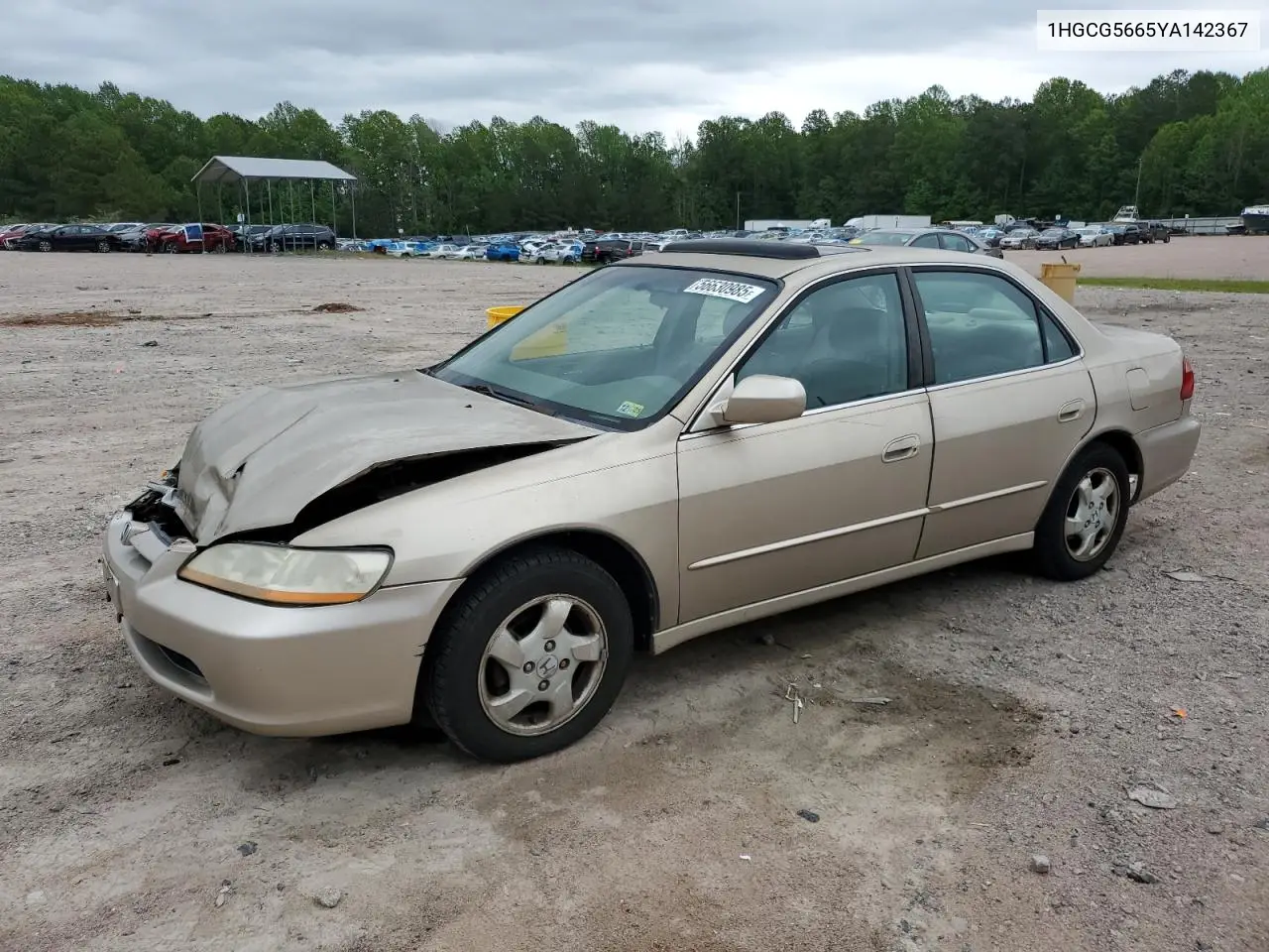 2000 Honda Accord Ex VIN: 1HGCG5665YA142367 Lot: 56630985