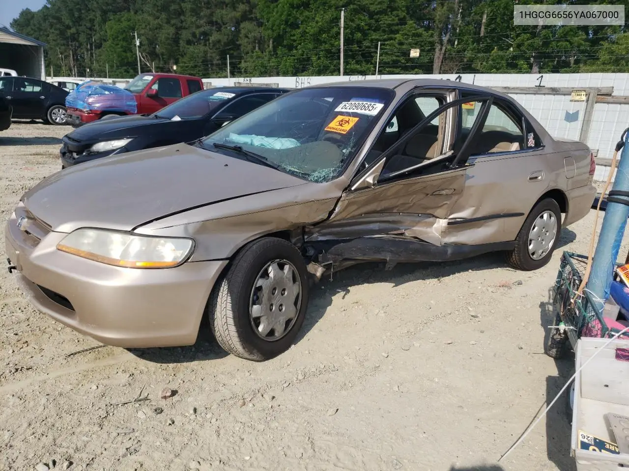 2000 Honda Accord Lx VIN: 1HGCG6656YA067000 Lot: 62090685