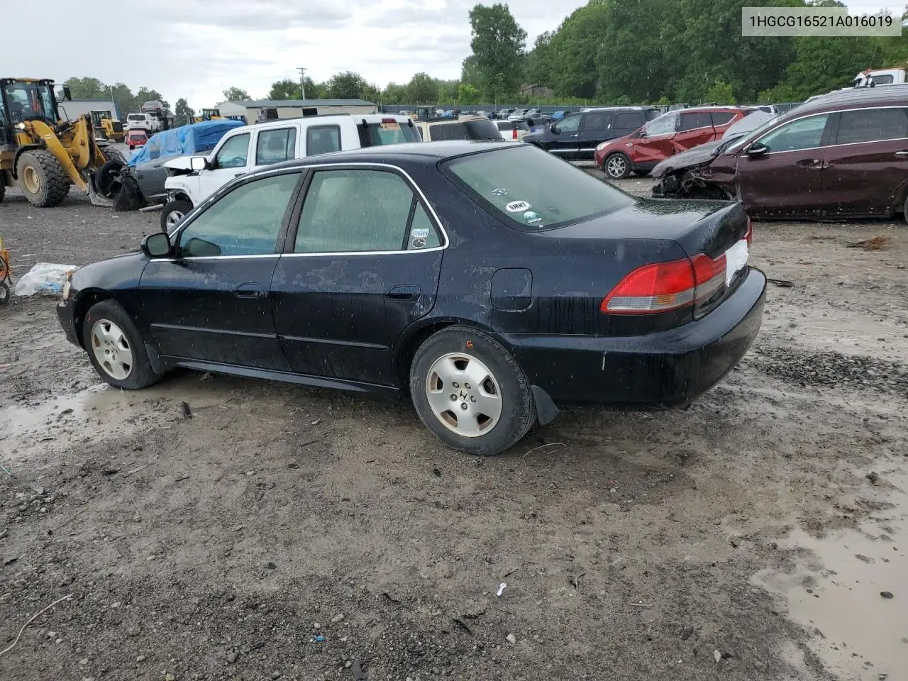 2001 Honda Accord Ex VIN: 1HGCG16521A016019 Lot: 56499495