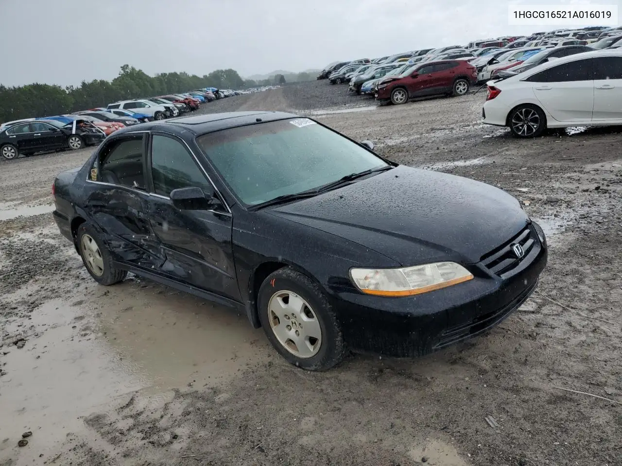 2001 Honda Accord Ex VIN: 1HGCG16521A016019 Lot: 56499495
