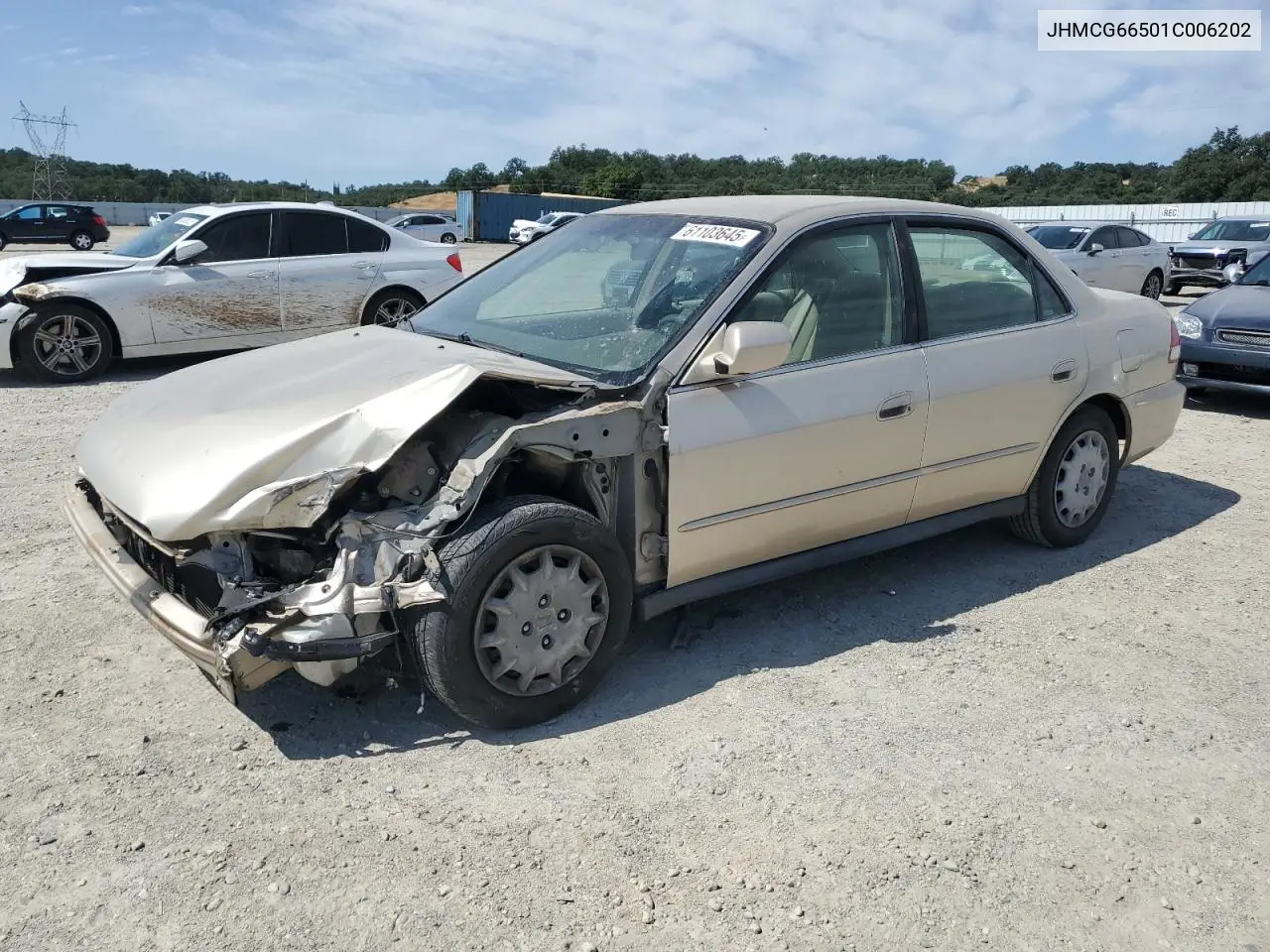 2001 Honda Accord Lx VIN: JHMCG66501C006202 Lot: 61103645