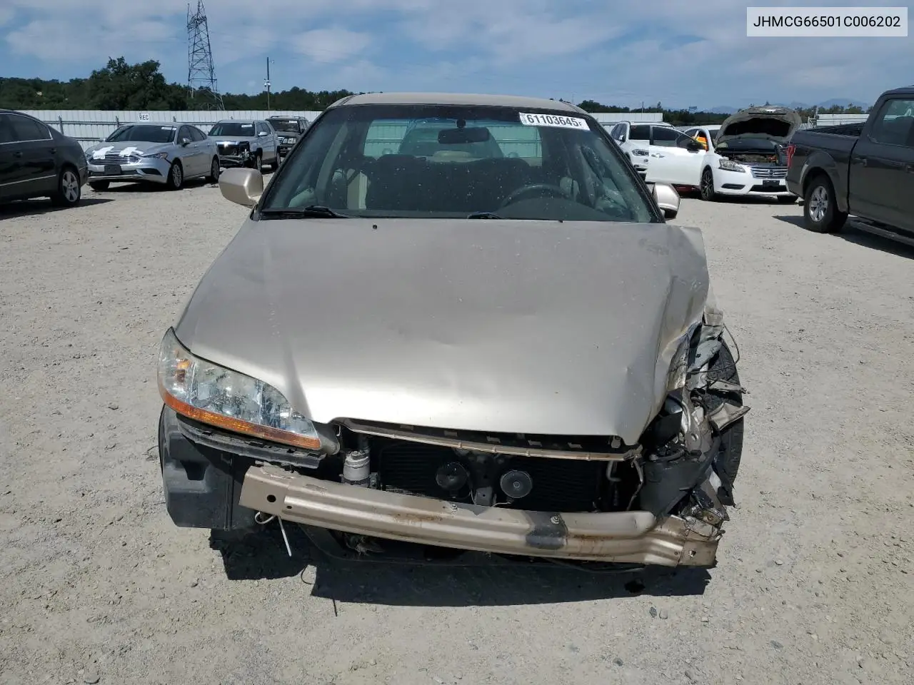 2001 Honda Accord Lx VIN: JHMCG66501C006202 Lot: 61103645