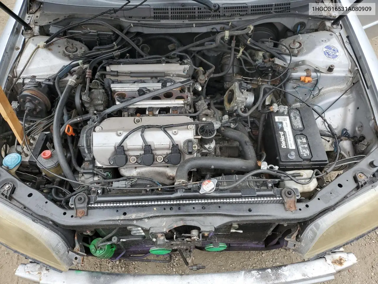 2001 Honda Accord Ex VIN: 1HGCG16531A080909 Lot: 62656695