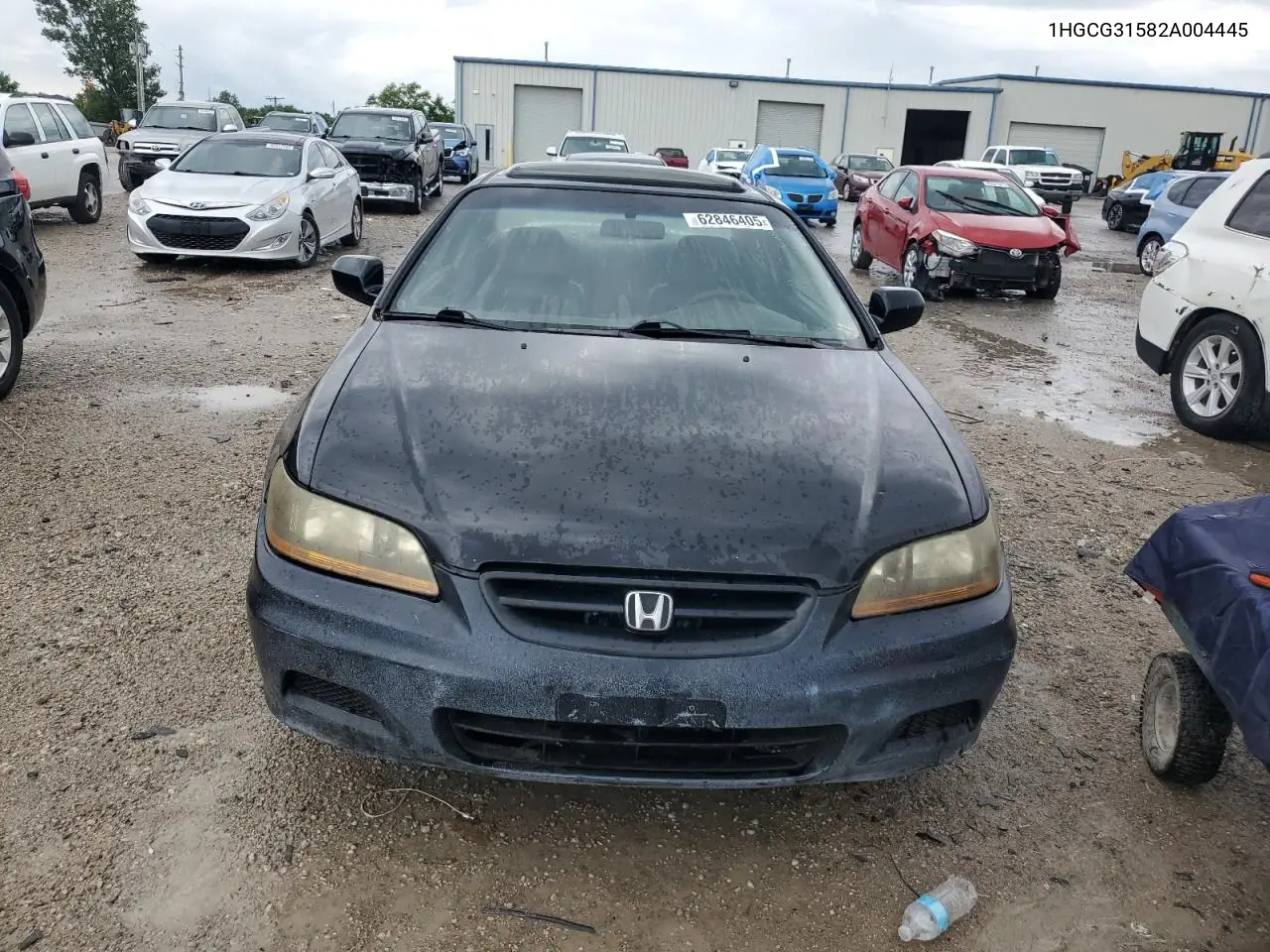 2002 Honda Accord Ex VIN: 1HGCG31582A004445 Lot: 62846405