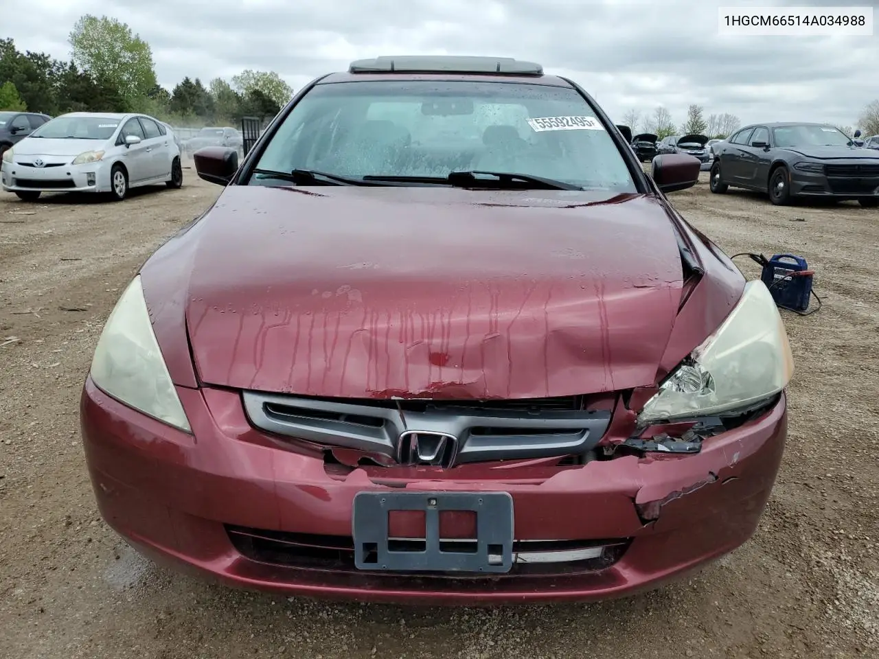 2004 Honda Accord Ex VIN: 1HGCM66514A034988 Lot: 55592495