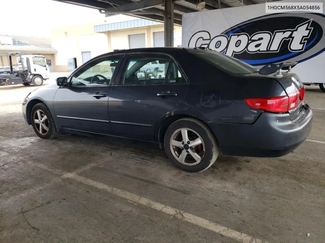 2005 Honda Accord Ex VIN: 1HGCM568X5A054856 Lot: 54598685