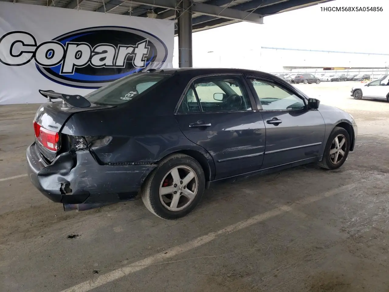 2005 Honda Accord Ex VIN: 1HGCM568X5A054856 Lot: 54598685