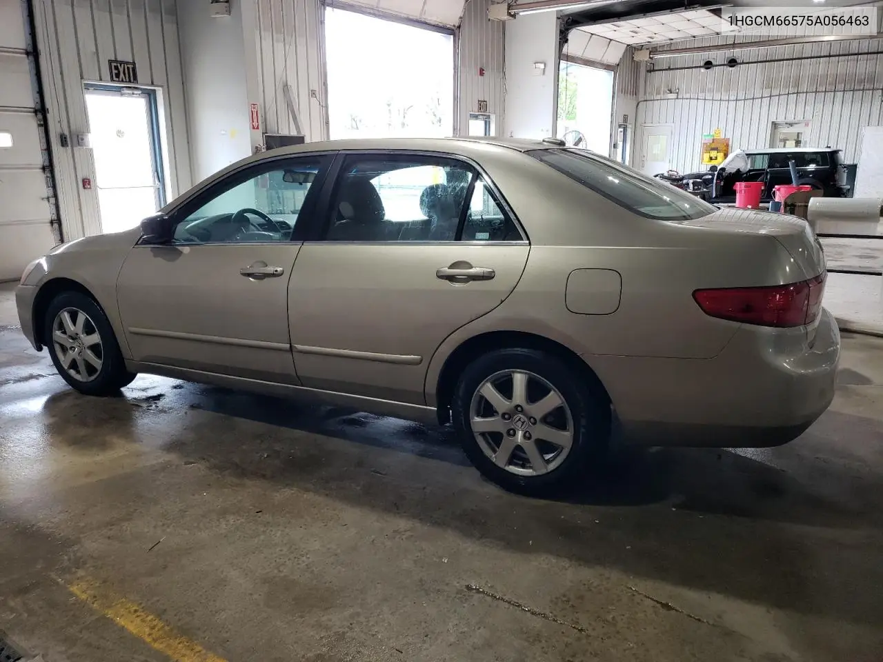 2005 Honda Accord Ex VIN: 1HGCM66575A056463 Lot: 55412715
