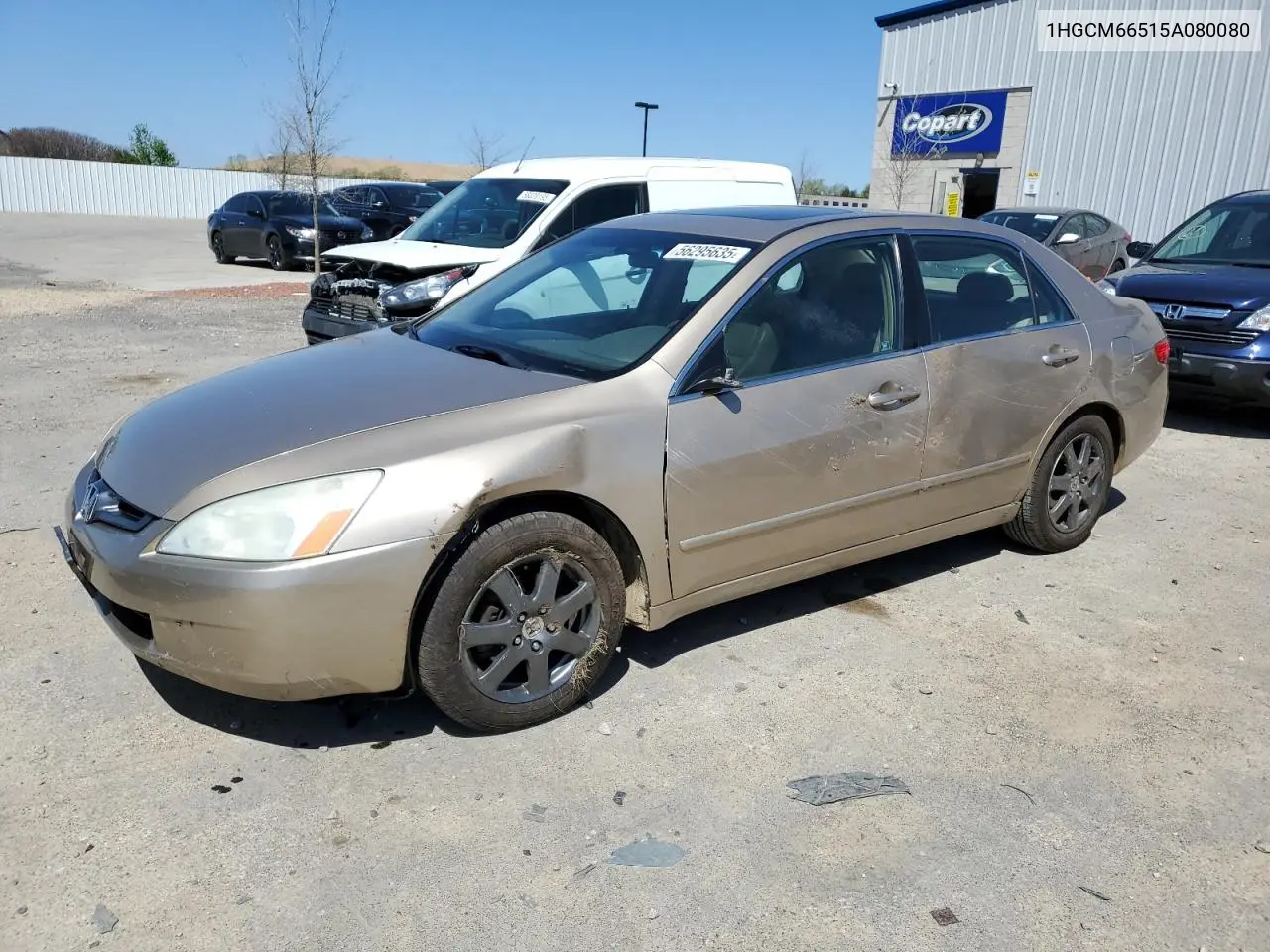 2005 Honda Accord Ex VIN: 1HGCM66515A080080 Lot: 56295635