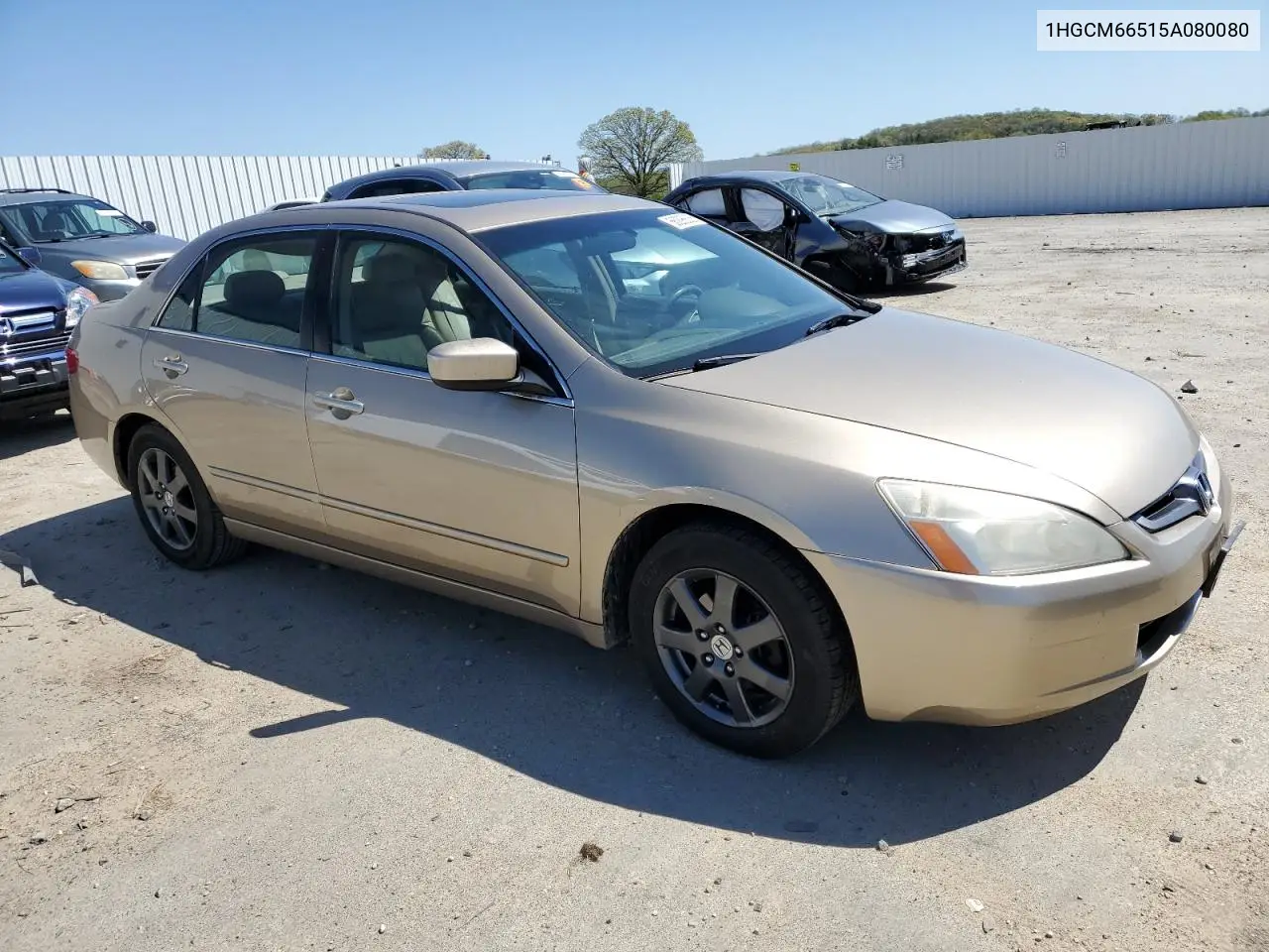 2005 Honda Accord Ex VIN: 1HGCM66515A080080 Lot: 56295635