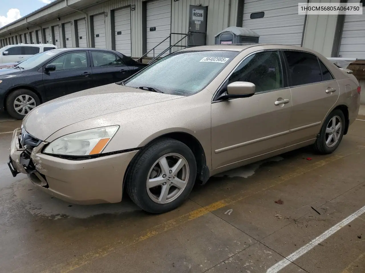 2005 Honda Accord Ex VIN: 1HGCM56805A064750 Lot: 56402985