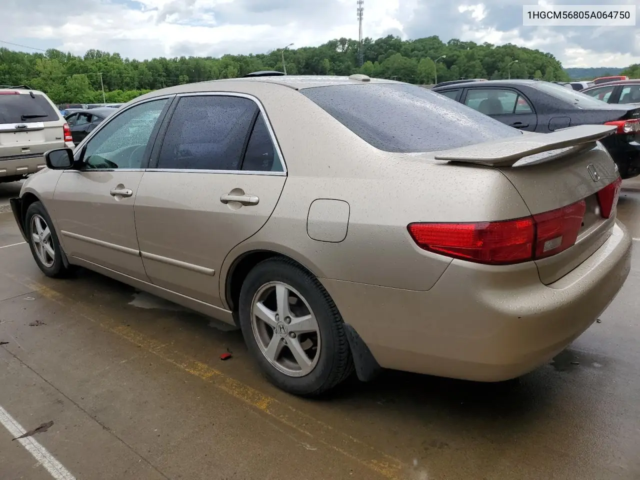 2005 Honda Accord Ex VIN: 1HGCM56805A064750 Lot: 56402985