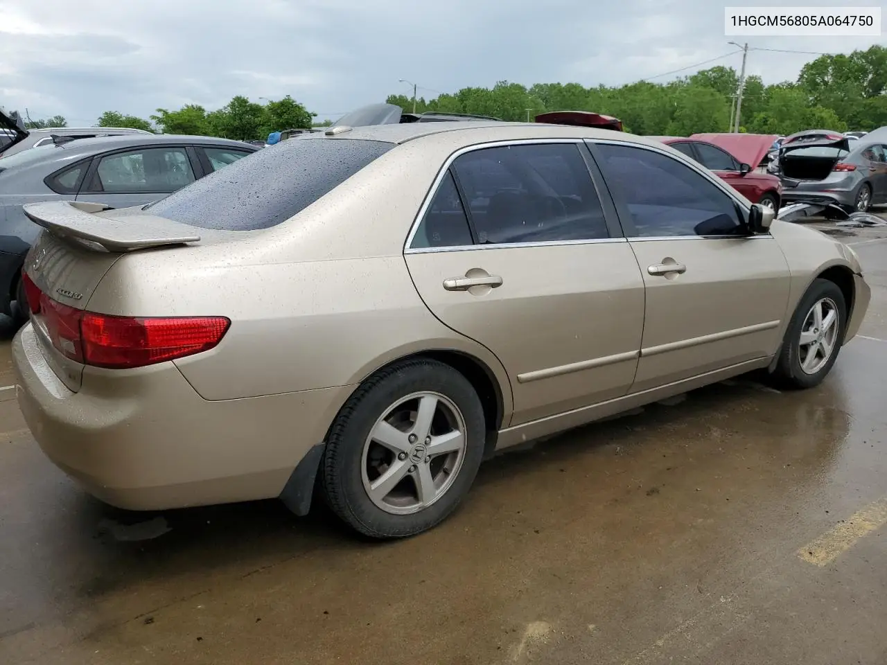 2005 Honda Accord Ex VIN: 1HGCM56805A064750 Lot: 56402985