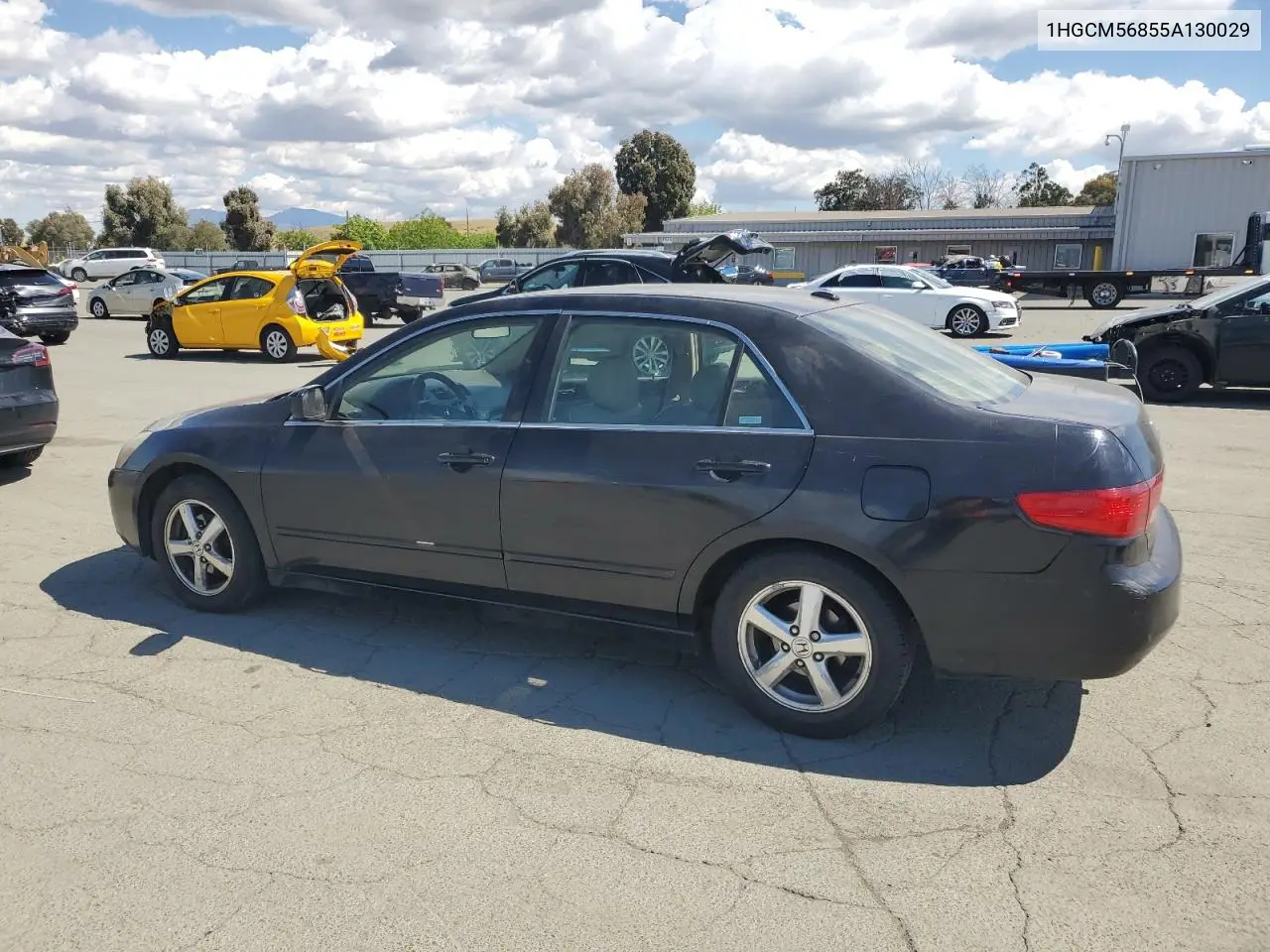 2005 Honda Accord Ex VIN: 1HGCM56855A130029 Lot: 56551855
