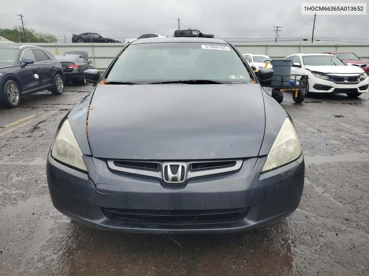 2005 Honda Accord Lx VIN: 1HGCM66365A013652 Lot: 57000165