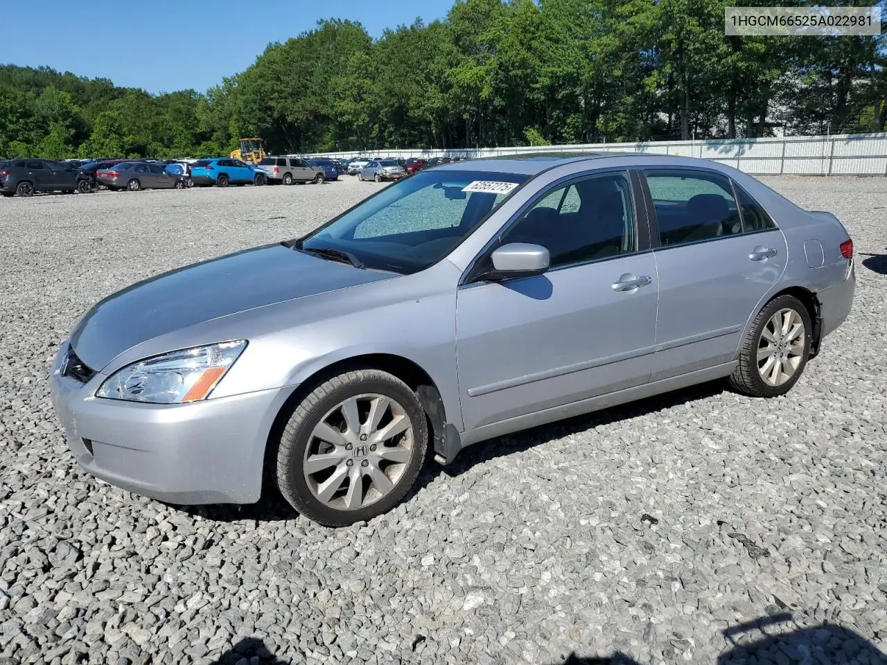 2005 Honda Accord Ex VIN: 1HGCM66525A022981 Lot: 62557275