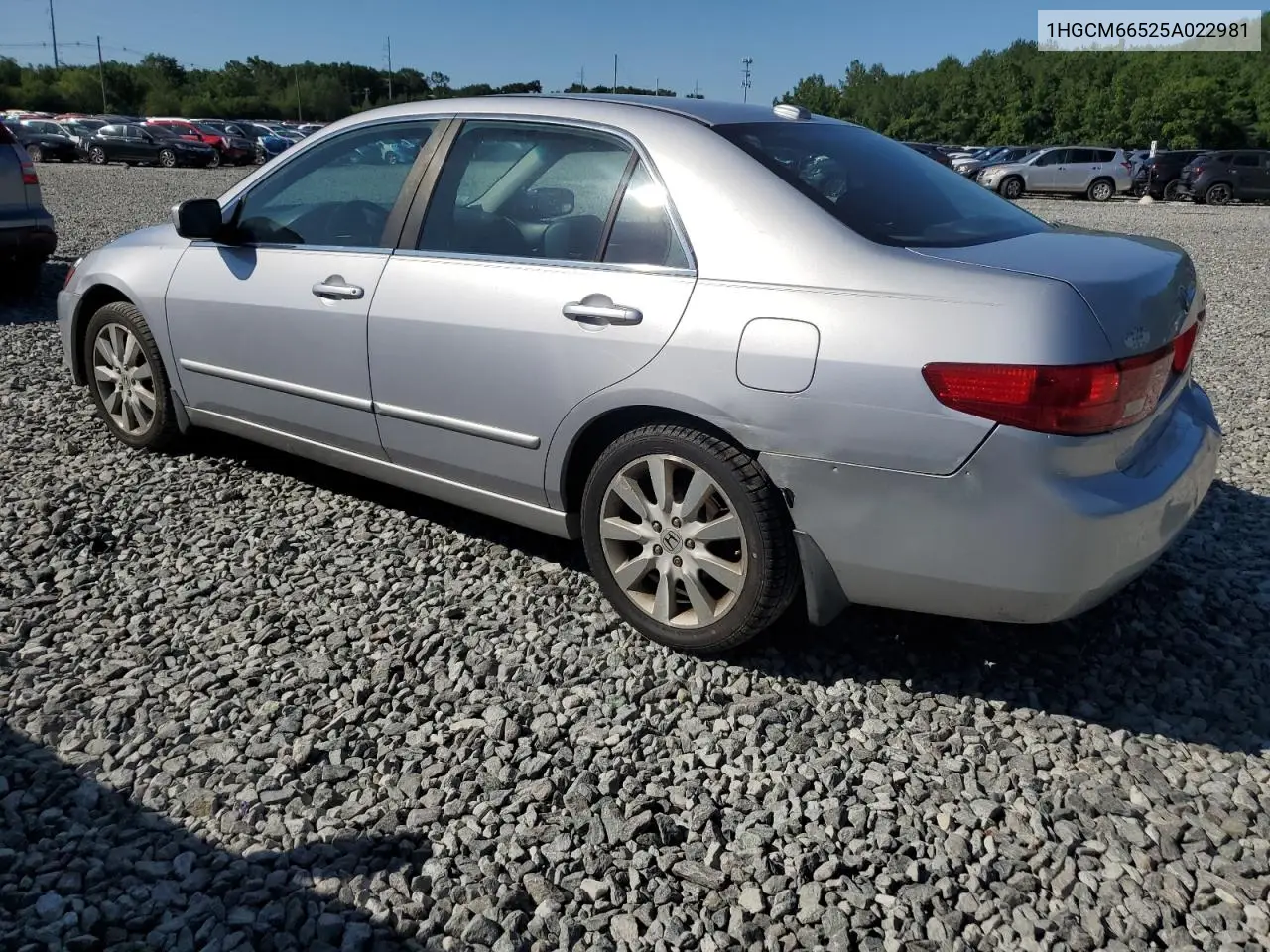 2005 Honda Accord Ex VIN: 1HGCM66525A022981 Lot: 62557275