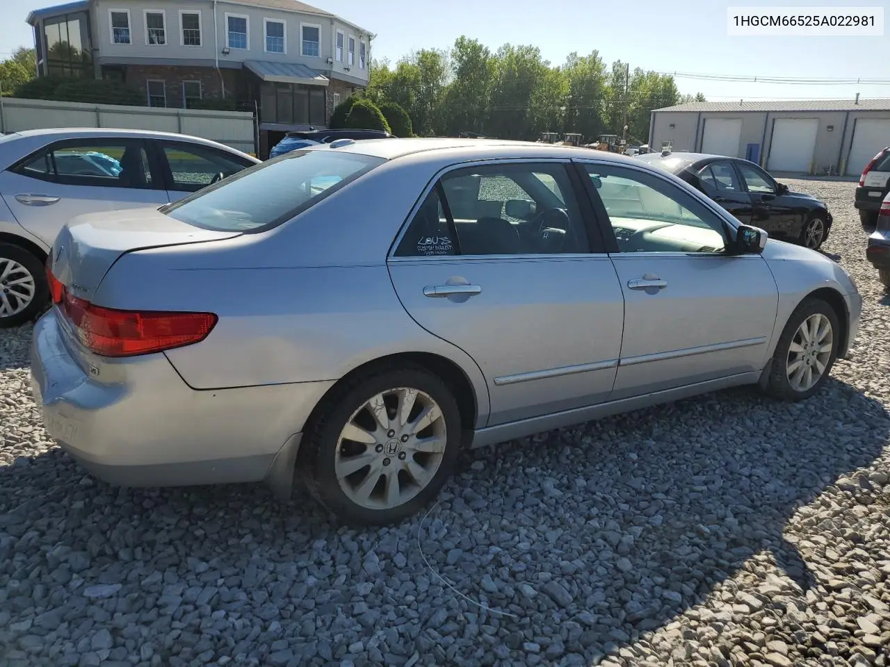 2005 Honda Accord Ex VIN: 1HGCM66525A022981 Lot: 62557275