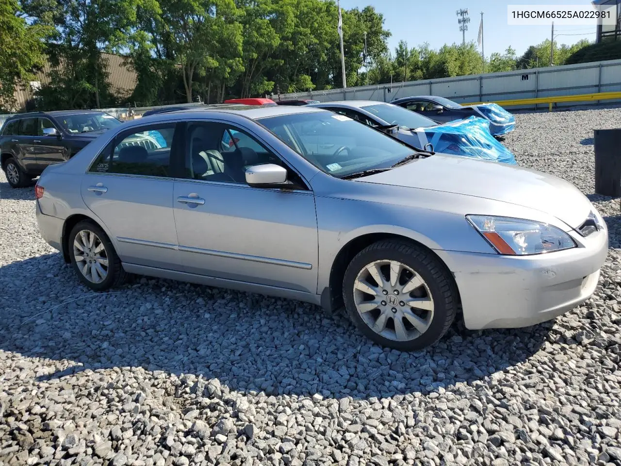 2005 Honda Accord Ex VIN: 1HGCM66525A022981 Lot: 62557275