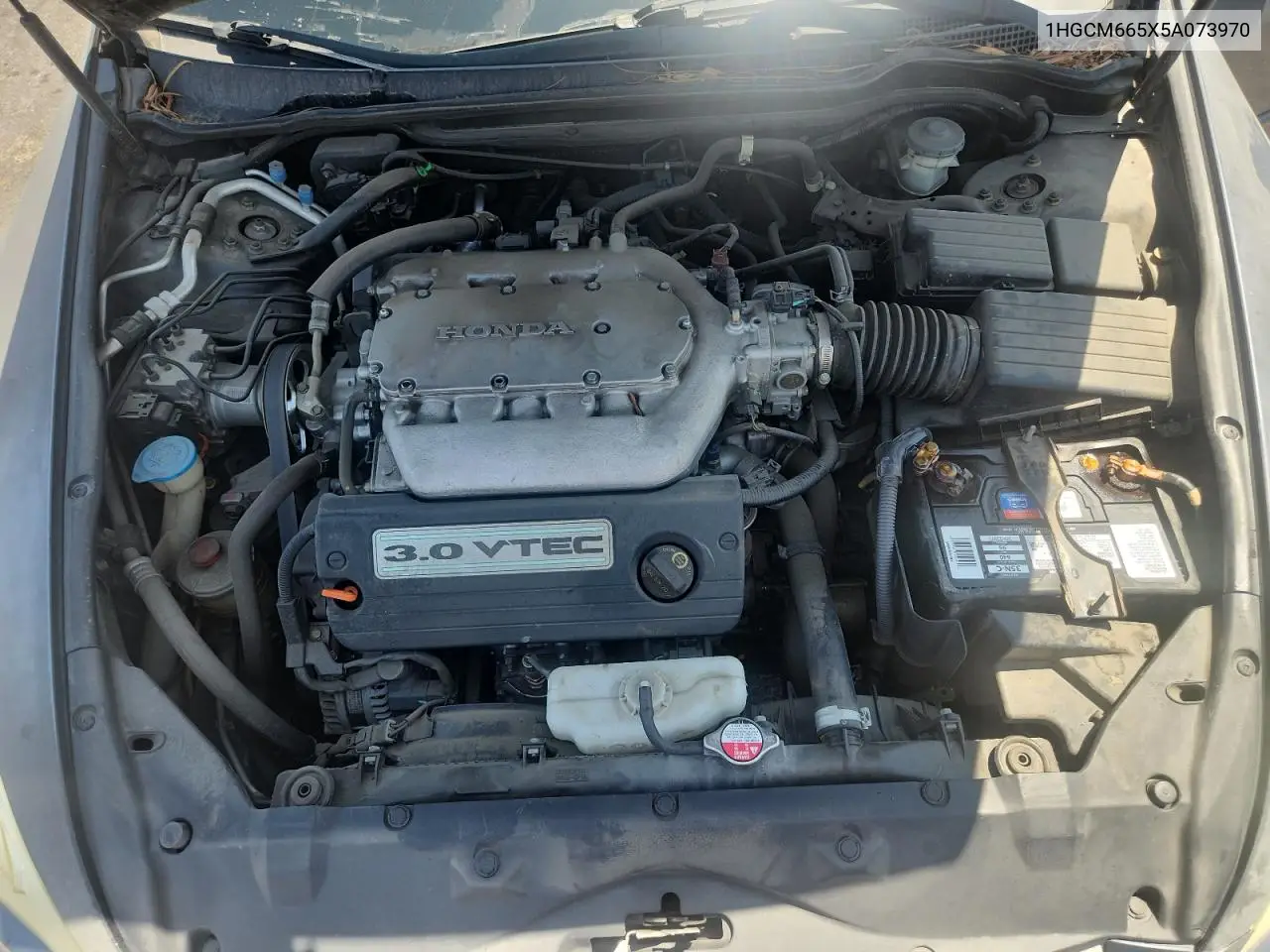 2005 Honda Accord Ex VIN: 1HGCM665X5A073970 Lot: 62789375