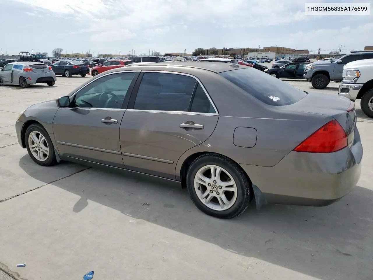 2006 Honda Accord Ex VIN: 1HGCM56836A176699 Lot: 48890305