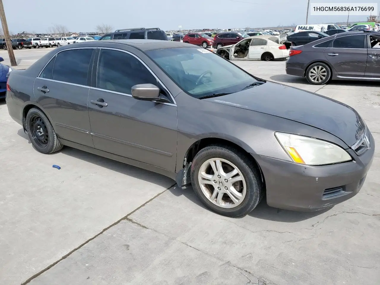 2006 Honda Accord Ex VIN: 1HGCM56836A176699 Lot: 48890305